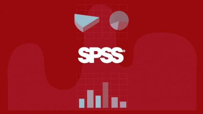 Make Life Easier with SPSS Assignment Writing Services