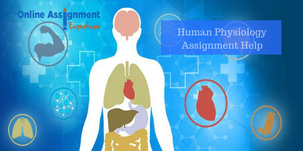 Human Physiology Assignment Help