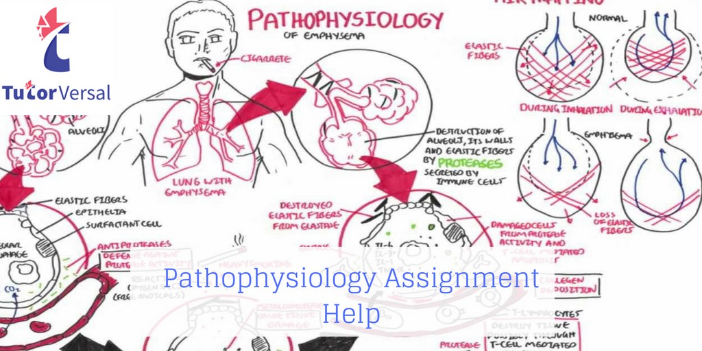 Pathophysiology Assignment Help