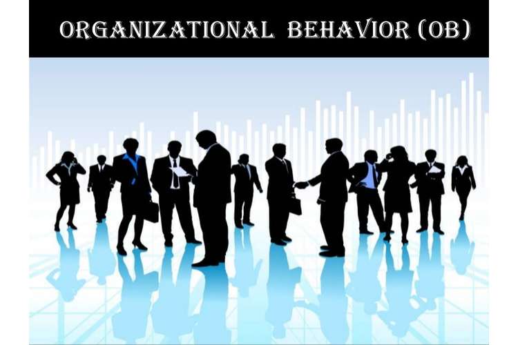 Organisational Behaviour Assignment Help
