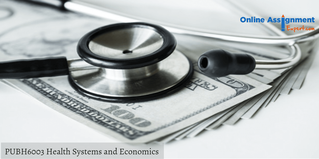 PUBH6003 Health Systems and Economics Assessment Answers