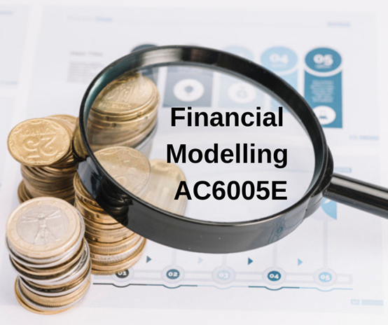 A Pocket Guide On Sensitivity Analysis in Financial Modelling AC6005E!