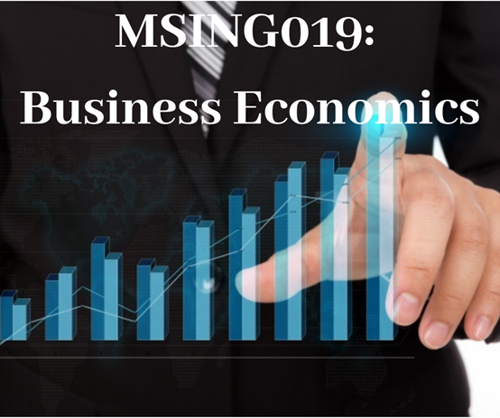 An Overview on MSING019: Business Economics