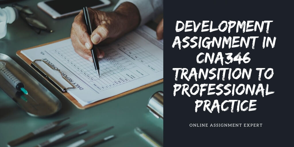 Development Assignment in CNA346 Transition to Professional Practice