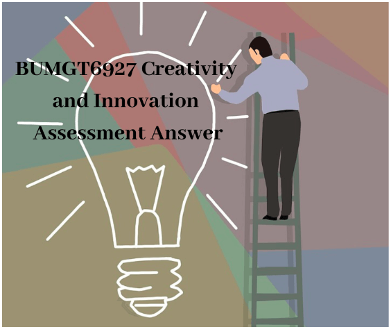 A Short Guide For BUMGT6927 Creativity and Innovation Assessment Answer