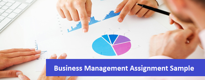 Business Management Assignment Sample - A Learning Guide