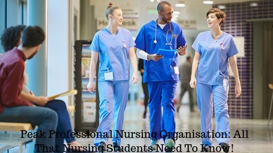 Peak Professional Nursing Organisation: All That Nursing Students Need To Know!