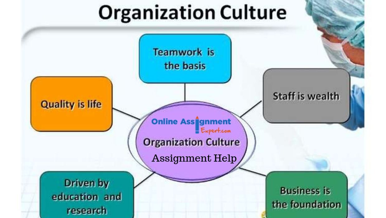 Grab Organisational culture Assignment Help By Reliable Native Writers