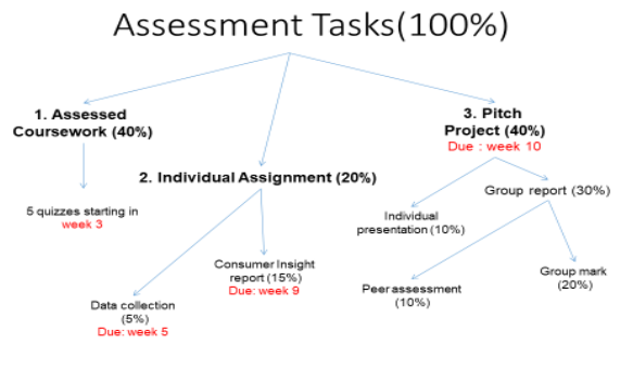 MKTG204 assignment task