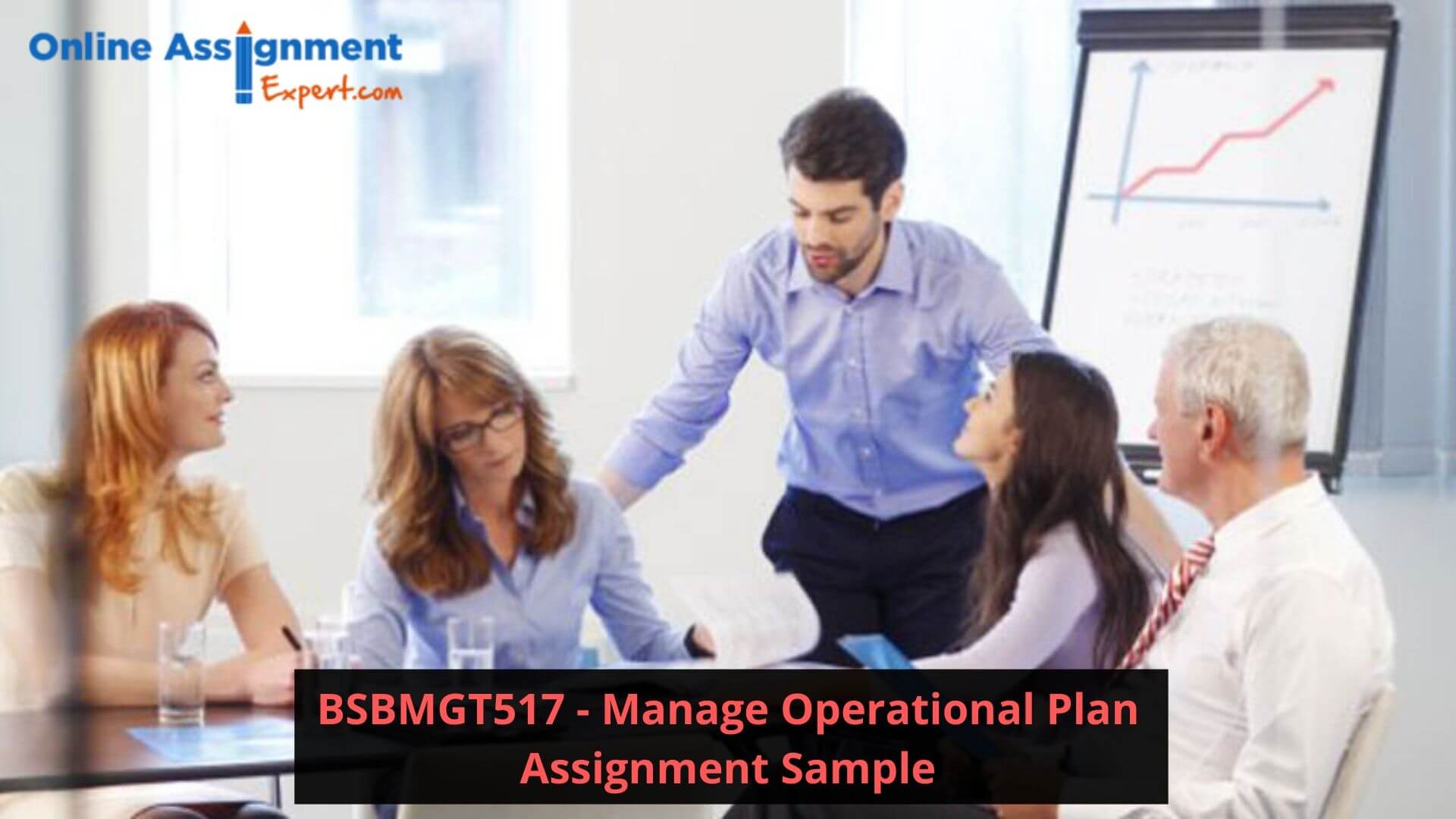 BSBMGT517 - Manage Operational Plan Assignment Sample