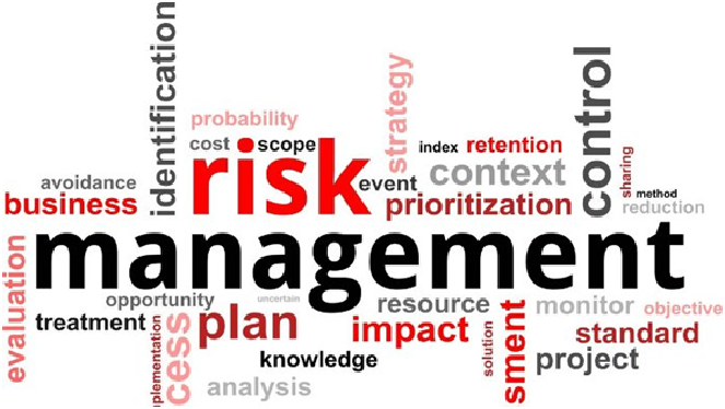 INF30020 Information Systems Risk & Security Assignment Answer