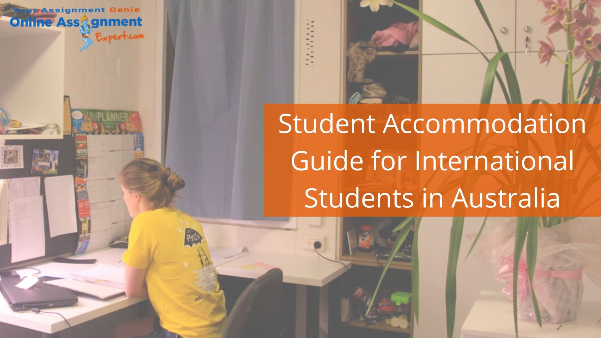 Student Accommodation Guide for International Students in Australia