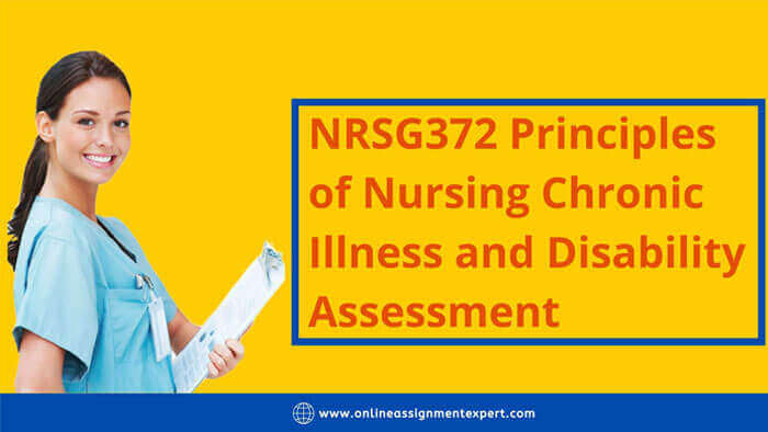 NRSG372 Principles of Nursing Chronic Illness and Disability Assessment Answer
