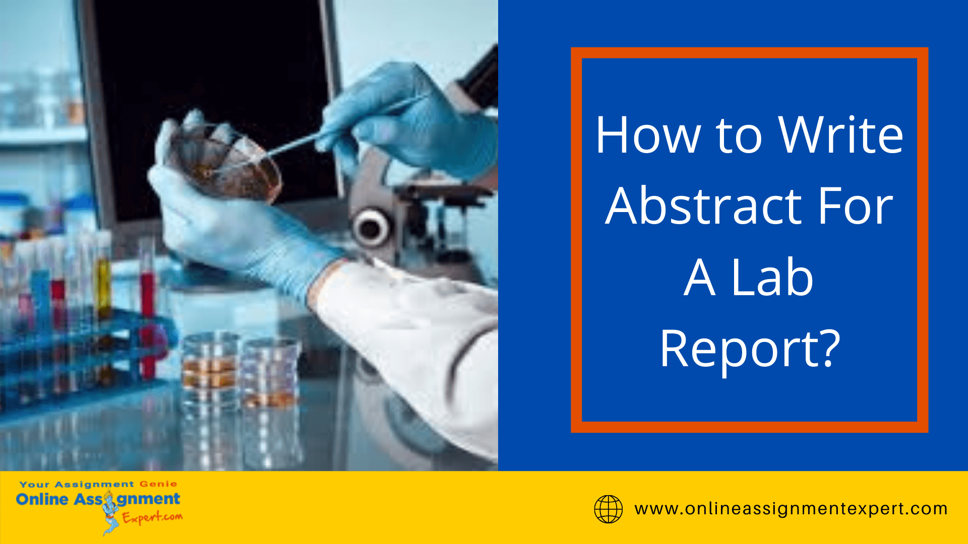 How to Write Abstract For A Lab Report?