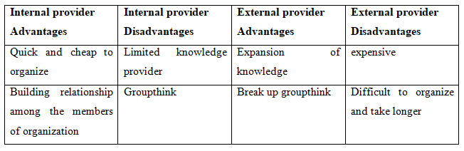 pros and cons of internal and external providers