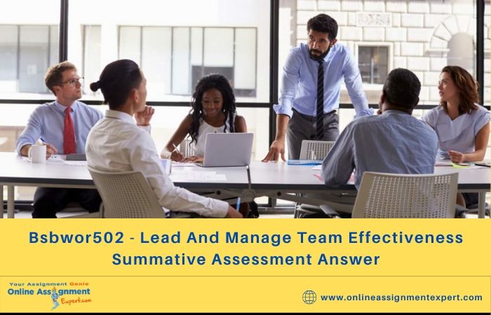 Bsbwor502 - Lead And Manage Team Effectiveness Summative Assessment Answer