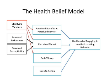 diagram of the health belief model 