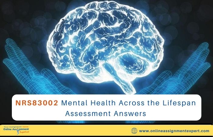 NRS83002 Mental Health Across the Lifespan Assessment Answers