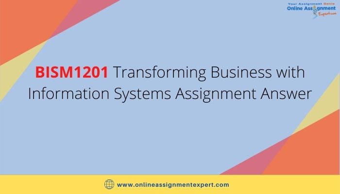 BISM1201 Transforming Business with Information Systems Assignment Answer