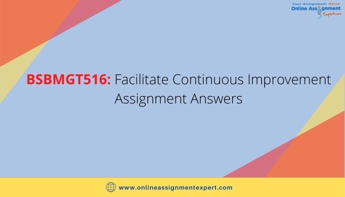 BSBMGT516: Facilitate Continuous Improvement Assignment Answers