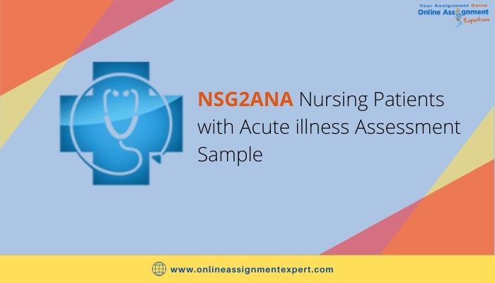 NSG2ANA Nursing Patients with Acute Illness Assessment Sample