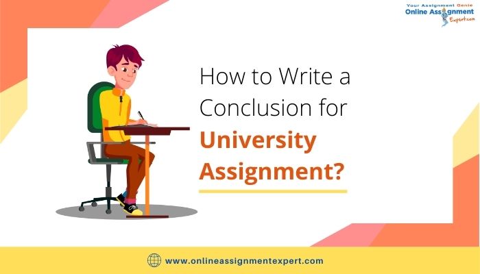 How to Write a Conclusion for University Assignment