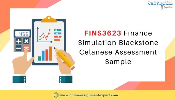 FINS3623 Finance Simulation Blackstone Celanese Assessment Sample