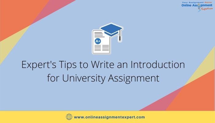 How to Write an Introduction for University Assignment?