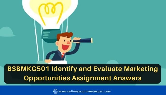 BSBMKG501 Identify and Evaluate Marketing Opportunities Assignment Answers