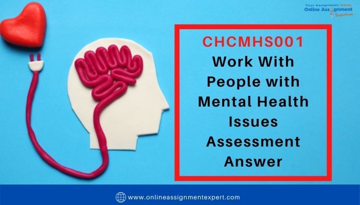 CHCMHS001 Work With People with Mental Health Issues Assessment Answer