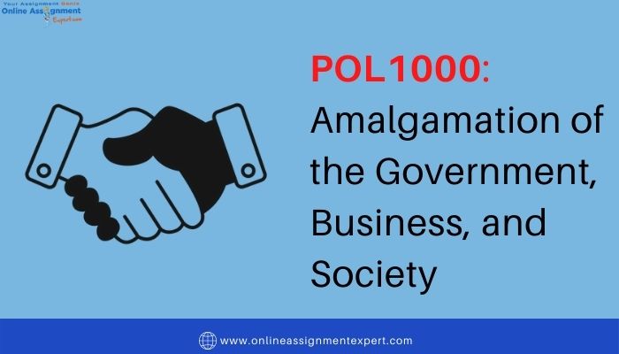 POL1000: Amalgamation of the Government, Business, and Society