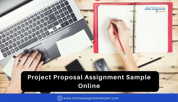Project Proposal Assignment Sample Online