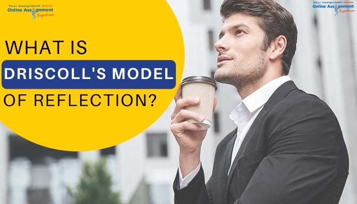 What is Driscoll's model of reflection?