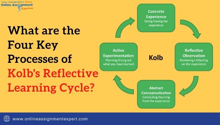 What are the Four Key Processes of Kolb's Reflective Learning Cycle?