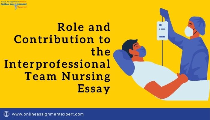 Role and Contribution to the Interprofessional Team Nursing Essay