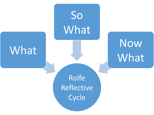 rolfe reflective model