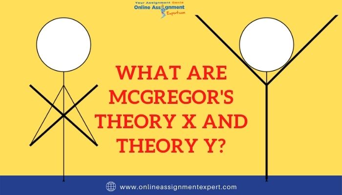 What are McGregor's Theory X and Theory Y