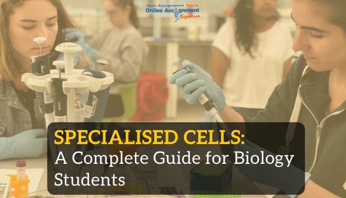 Specialised Cells: A Complete Guide for Biology Students