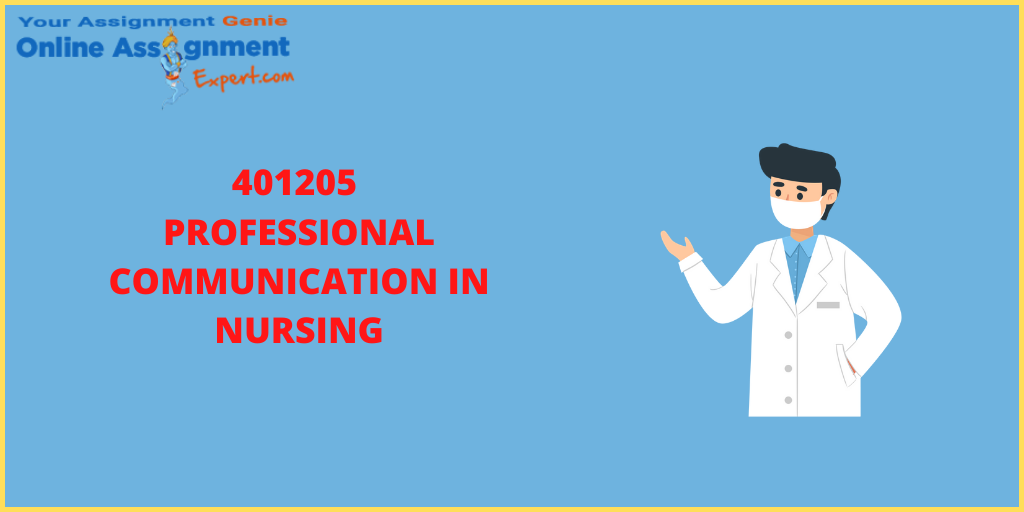 401205 Professional Communication in Nursing