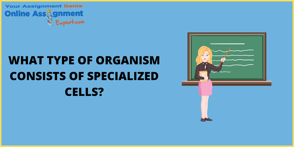 What Type of Organism Consists of Specialized Cells?`