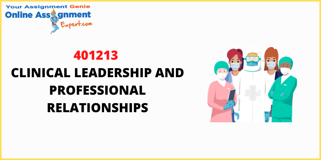401213 Clinical Leadership and Professional Relationships Assessment!