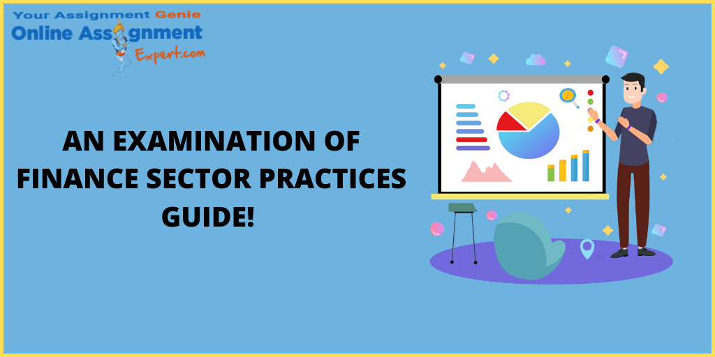 An Examination of Finance Sector Practices Guide!