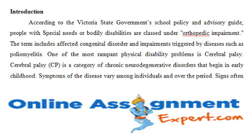 Intellectual and Developmental Disabilities assignment help Sample 2