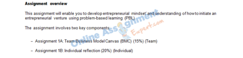 MKT3031 entrepreneurial strategy assignment sample