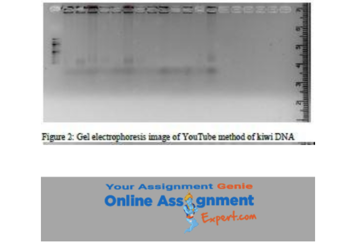 biochemical assignment solution