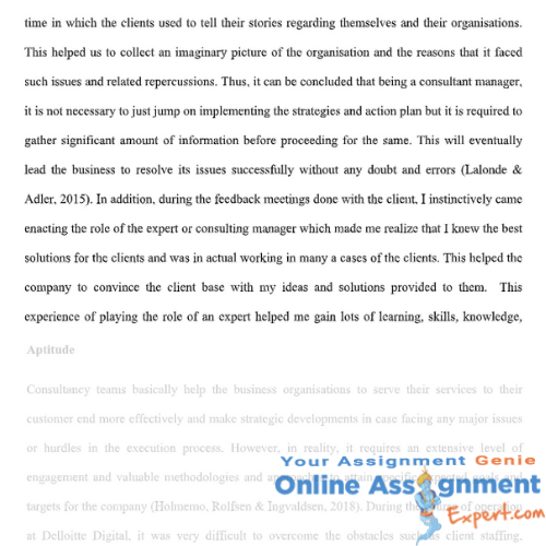 business consulting assignment sample answer