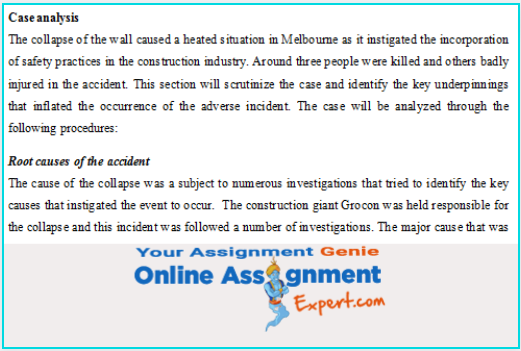 case analysis root causes of the accident