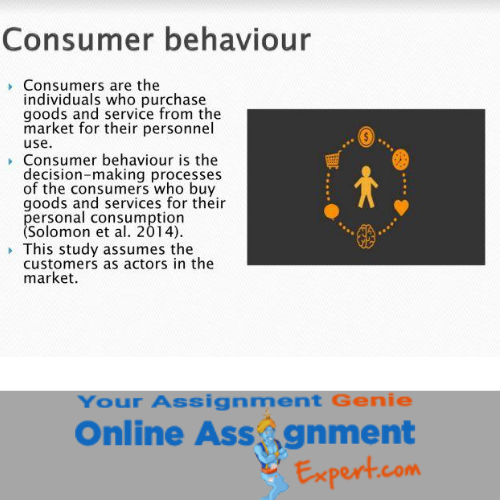 consumer behavior assignment solution