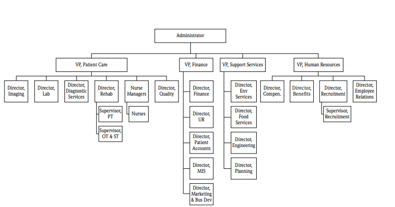 healthcare organization structure