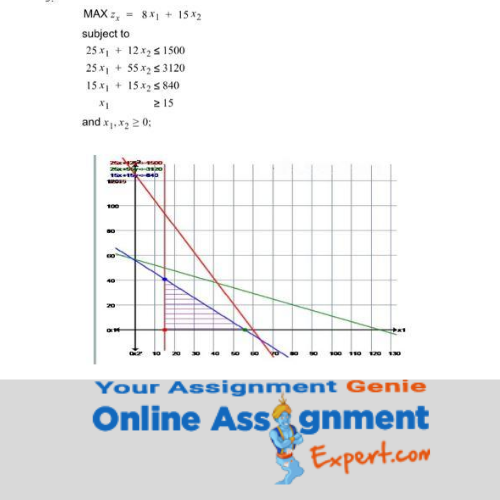 linear programming assignment help